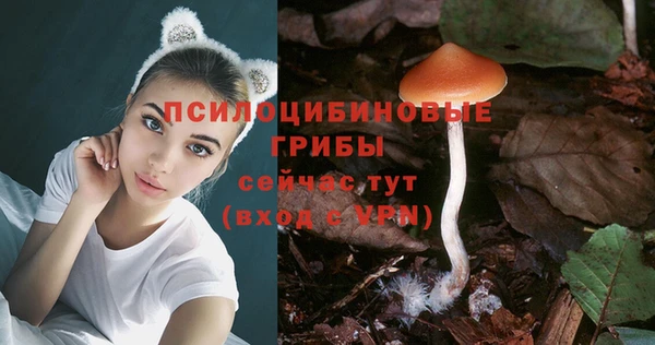тгк Елизово